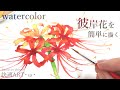【水彩】線画無し！簡単に描く彼岸花の描き方解説　初心者向け技法解説【watercolor】How to draw red spider lily easily　Tips for beginner