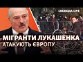 Мігранти: Білорусь шантажує ЄС. Чи є загроза для України?  | Свобода Live