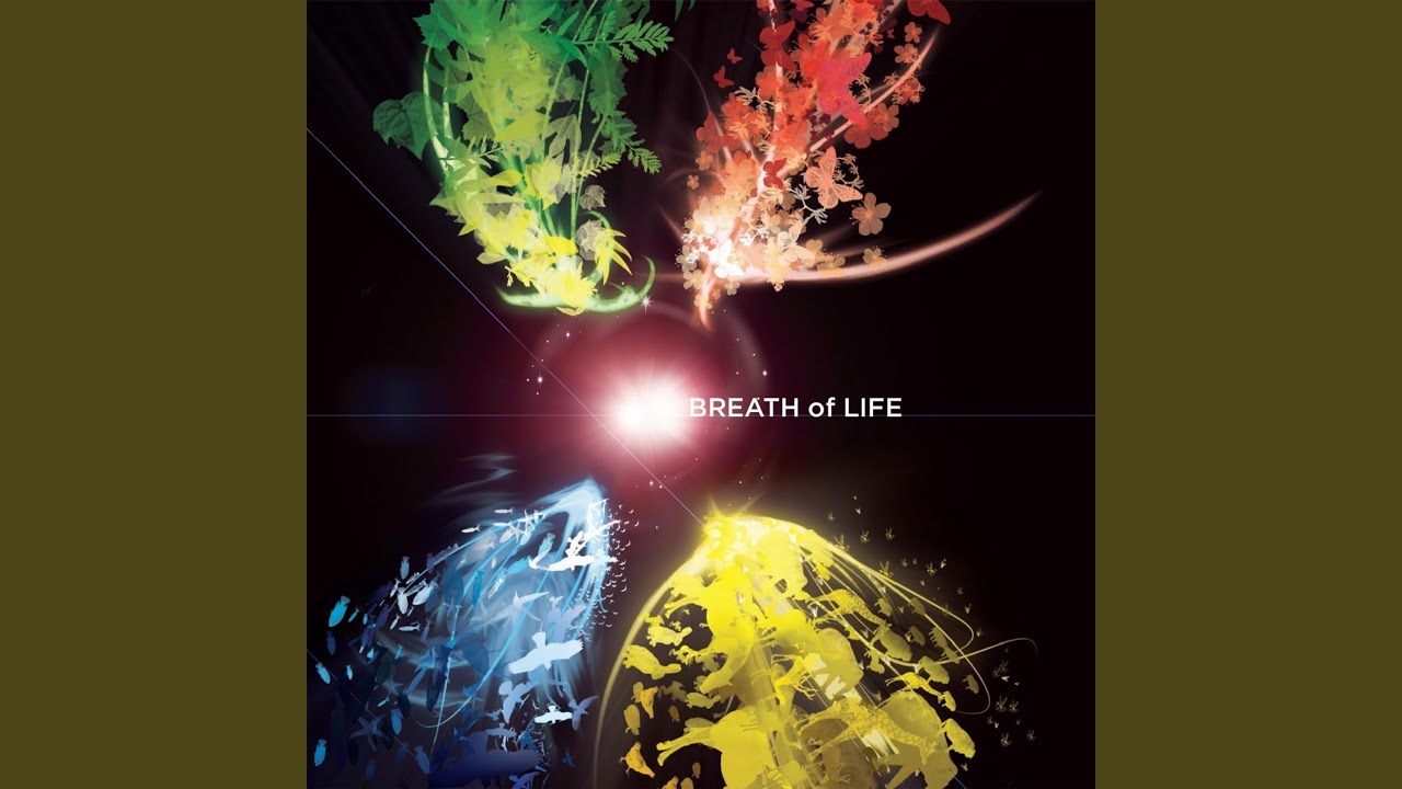 Precious Bible! What a Treasure