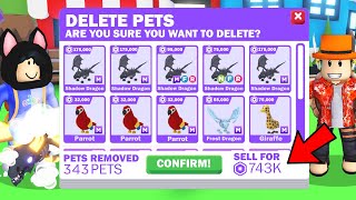 They DELETED My Adopt Me Pets.. (help)