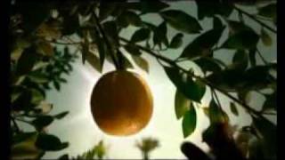 travel to egypt 1.wmv