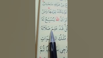 سورة النور الأية 41 إلى 42 القارئ سعد الغامدي