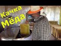 Медосбор качка / Пчеловодство.