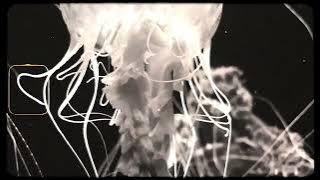 melodeep - On My Mind (Jay Aliyev Remix)