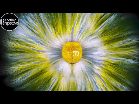 Melting M&Ms Makes for Amazing Macro Footage