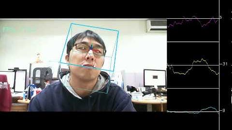 3D pose estimation using POSIT algorithm (real time)