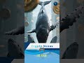 XRP Price Prediction for March 2026