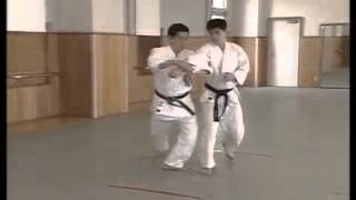 Shomen Tsuki Hiji Ate Kokuu Nage Ni Mp4