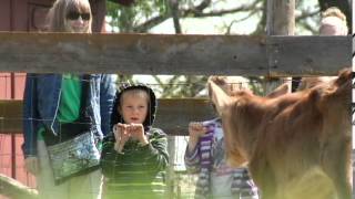 Spring on the Farm at Eidem Homestead in Brooklyn Park