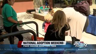 PACC celebrates National Adoption Weekend by waiving adoption fees
