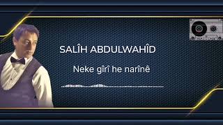 Salih Abdulwahid - Neke Giri Hey Narine