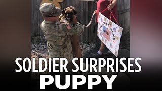 Soldier surprises dog after returning to home from deployment