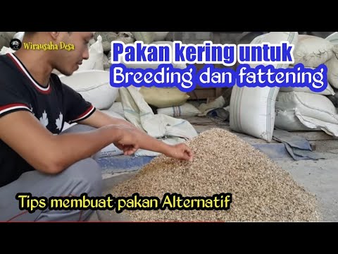 Bahan Pakan Kering Untuk Kambing