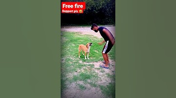 free fire puppy emote !! configuration perfect para SAMSUNG A1, A2, A3, A4, A5, A6, A7, A8 ! #short