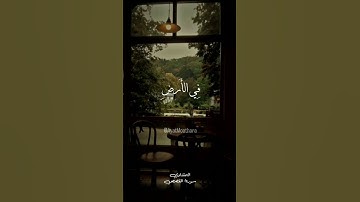 ﴿وَنُريدُ أَن نَمُنَّ عَلَى الَّذينَ استُضعِفوا فِي الأَرضِ﴾ 🤍🌺 || #قرآن كريم #quran