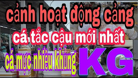 Cảng cá tắc cậu hoạt động mùa covid | Cống Cái Lớn