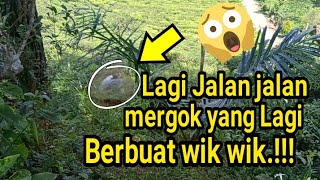 NGINTIP YANG LAGI BERBUAT WIK WIK.!!