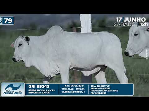 LOTE 79   GRI B9243