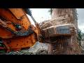 Largest Tree Cutting Harvester Equipment in Action - Massive Excavator Stump Removal Compilation