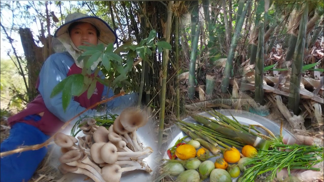 4 มีนาคม ค.ศ. 2026แกงหน่อไม้ใส่เห็ด[ແກງຫນໍ່ໄມ້ໃສ່ເຫັດ]