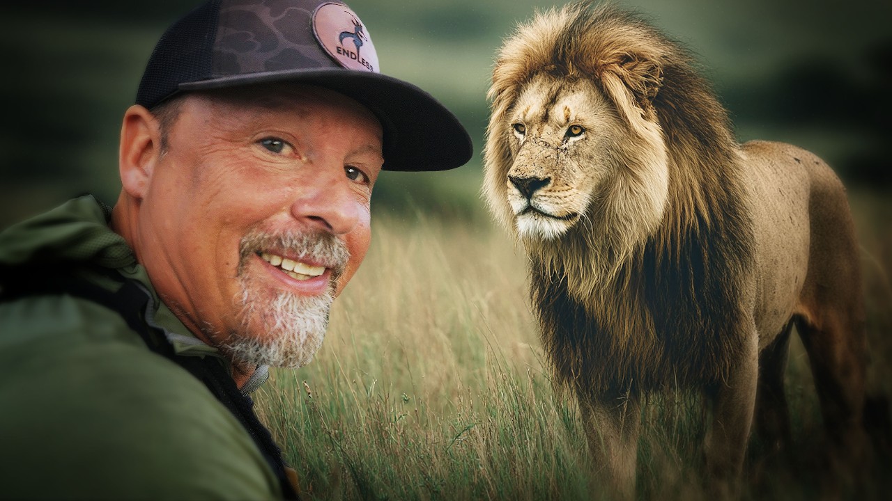 Face to Face With a Massive Male Lion!