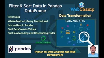 Pandas 5: "Mastering Data Manipulation in Python: Filtering and Sorting DataFrames using Pandas."