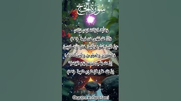 سورة الحج، آية 16,17