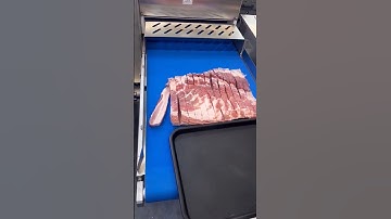Fresh meat parallel slicing machine