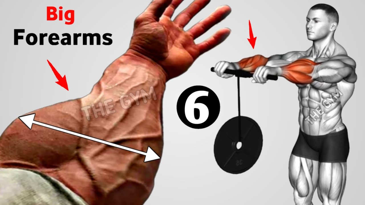 6 Effective Forearm Exercises for Bigger Arms | Gym Workout - YouTube