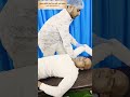 backpain #chiropractic #chiropractor #india #bihar #shorts #viral #buxar #top #trending #viralvideo