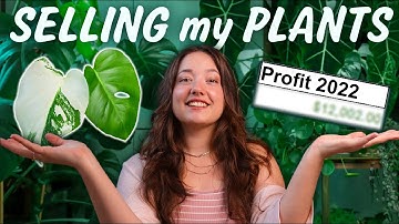 How I make Money selling Houseplants | Sales & Profit