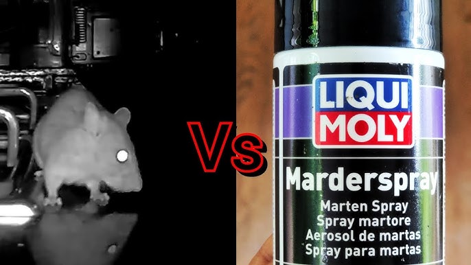 Liqui Moly Marder Spray - The spray to keep rats away 
