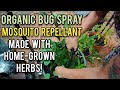 Organic Bug Spray Mosquito Repellent Made With Home Grown Herbs! - Ann&#39;s Tiny Life