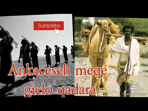 Ankaciseh meqe Giclo Qadara🇩🇯🇪🇹🇪🇷♥️