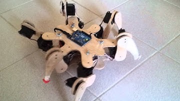 Hexapod first steps...