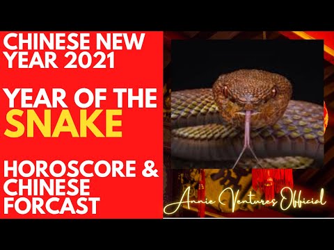 Chinese New Year 2021_ year of the Snake 2021 Horoscope, Feng Shui Forecast & Predictions Chinese New Year 2021_ year of the Snake 2021 Horoscope, Feng Shui Forecast & Predictions