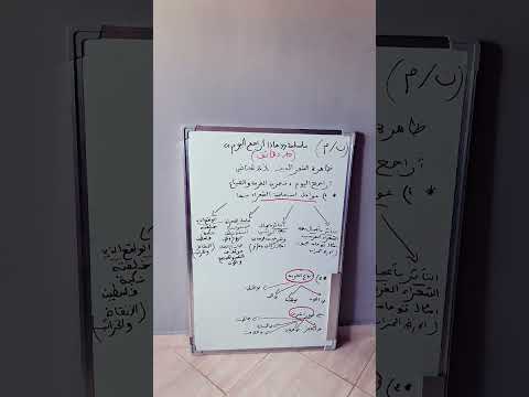 سلسلة ماذا اراجع اليوم تجربة الغربة والضياع باك ادب وعلوم أنسانية وفقكم الله