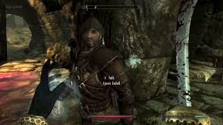 I didn’t know the Companions help the Thieves Guild... #skyrim