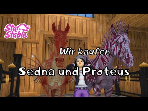 SSO / Die NEUEN Magischen Pferde / Sedna & Proteus