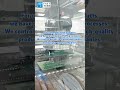 our SMT lines handle both with flexibility and speed.#PCBPrototype #MassProduction