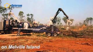 Peterson 5000H chipping Acacia Mangium