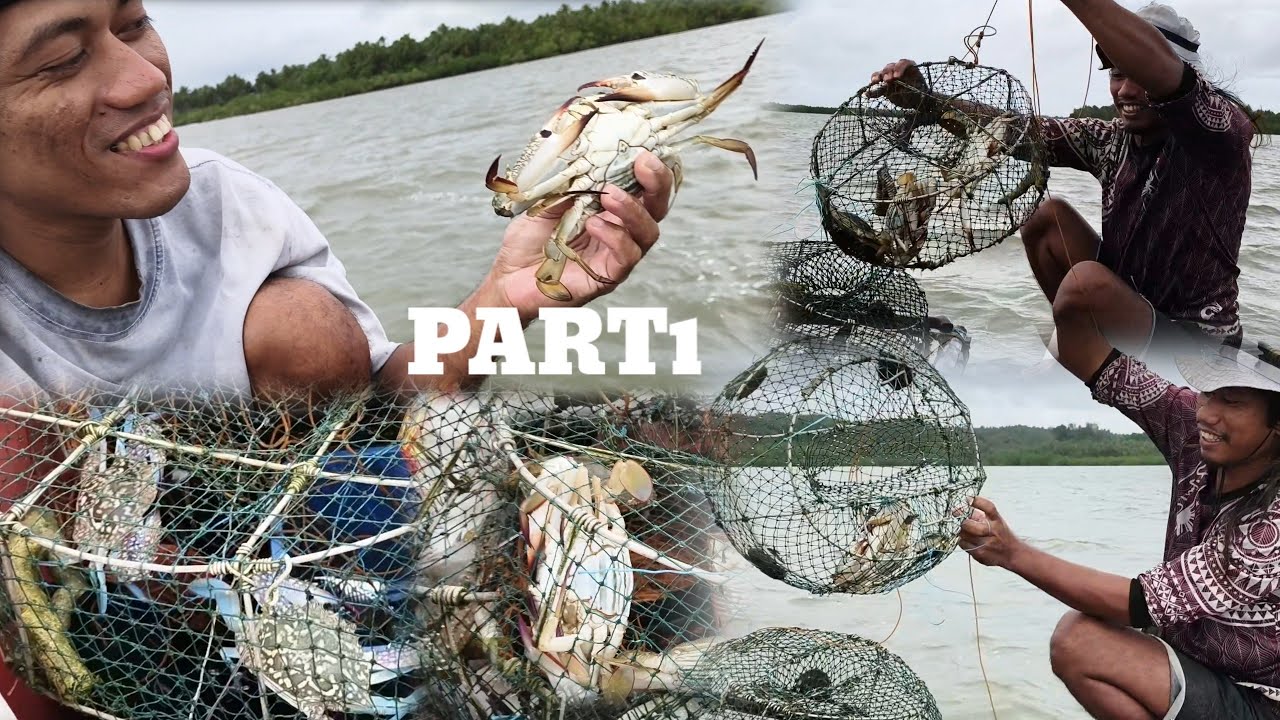 PART 1/ Madami pa talagang alimasag Dito sa mababaw