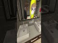 今話題のバナナ猫で音ハメしてみた #shorts #音ハメ #バナナ猫