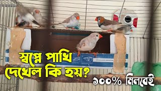 স্বপ্নে পাখি দেখলে কি হয় | swapne pakhi dekhle ki hoy | স্বপ্নে পাখি দেখার ব্যাখ্যা | dream | sopno screenshot 3