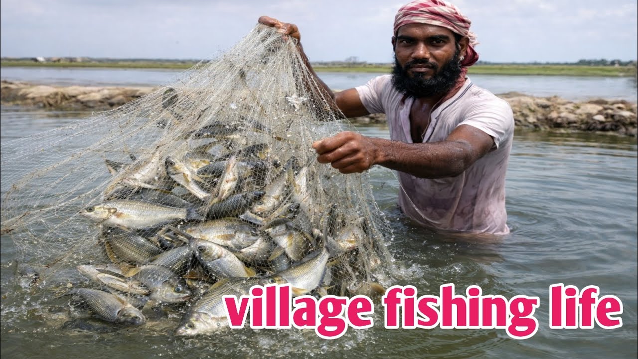 কারেন্ট জালে এত মাছ! 😱 | Village Fishing Life