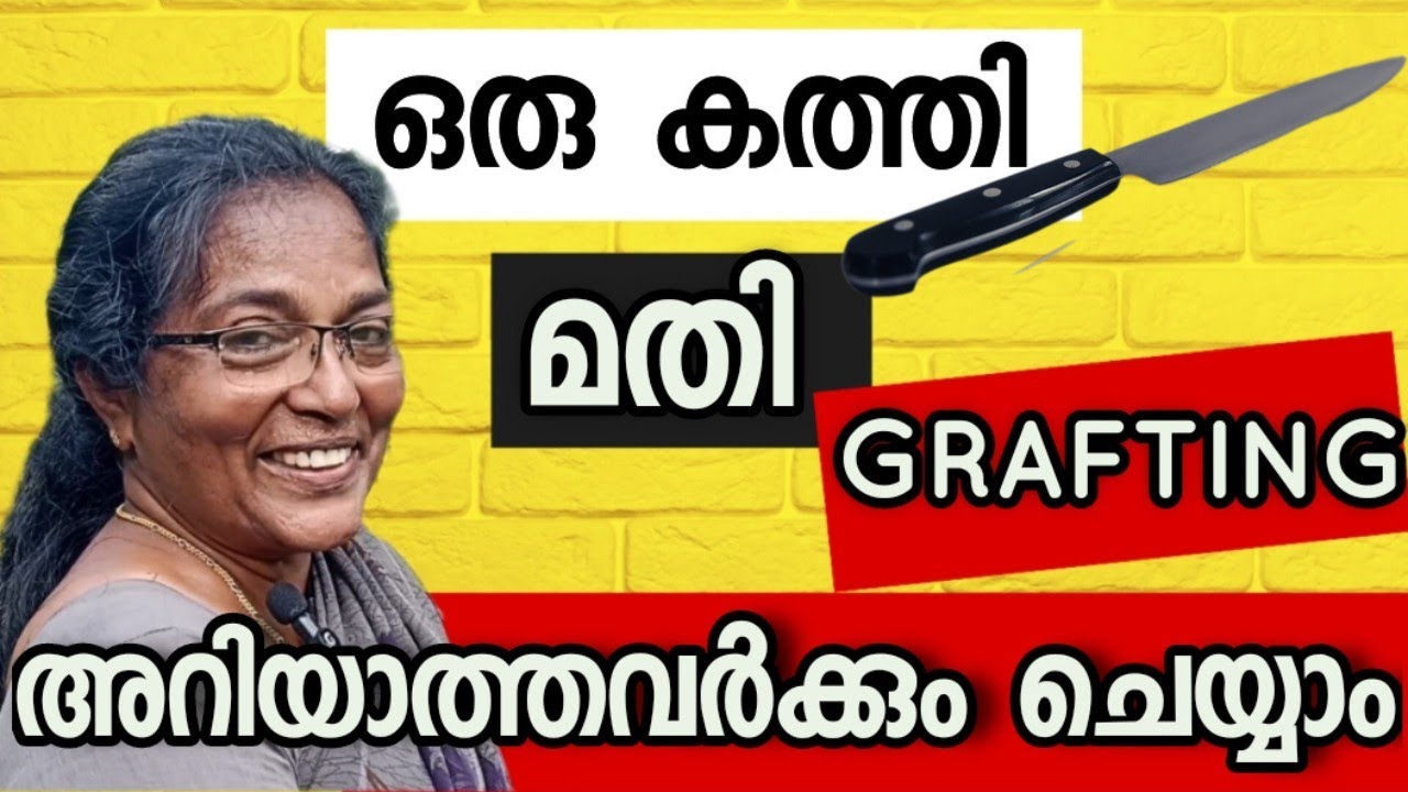ചേച്ചിയുടെ അറിവുകൾ വൈറലാകുന്നു ..Grafting easy method