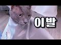 드디어 결전의 그날이 왔습니다