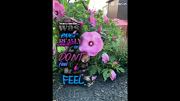 August 21 2025 