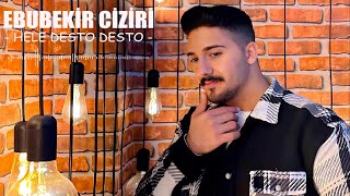 Ebubekir Ciziri - Hey Desto Desto #video #kurdi #müzik Resimi