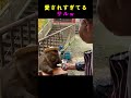 これが本当の母親の気持ちなんでしょうか？